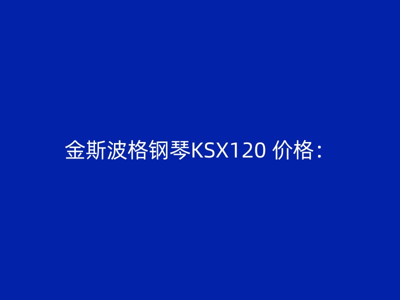 金斯波格钢琴KSX120 价格：