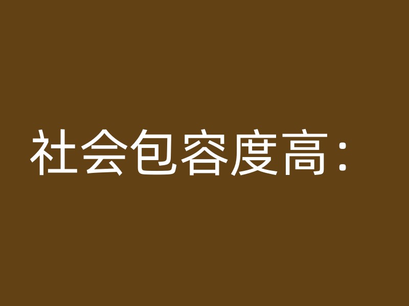 社会包容度高：