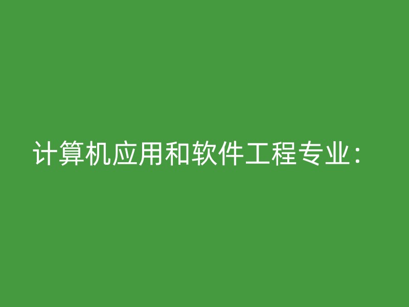 计算机应用和软件工程专业：