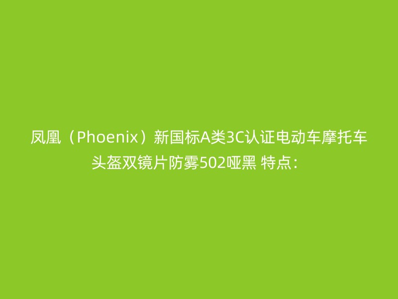 凤凰（Phoenix）新国标A类3C认证电动车摩托车头盔双镜片防雾502哑黑 特点：