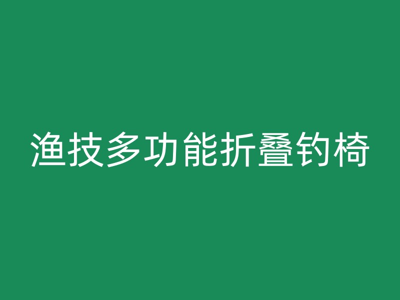 渔技多功能折叠钓椅