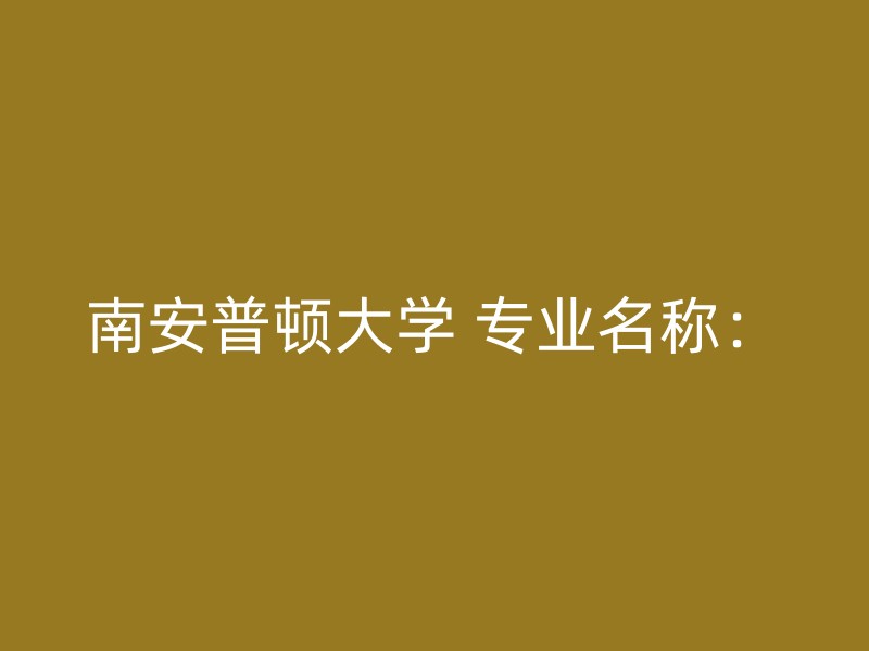 南安普顿大学 专业名称：