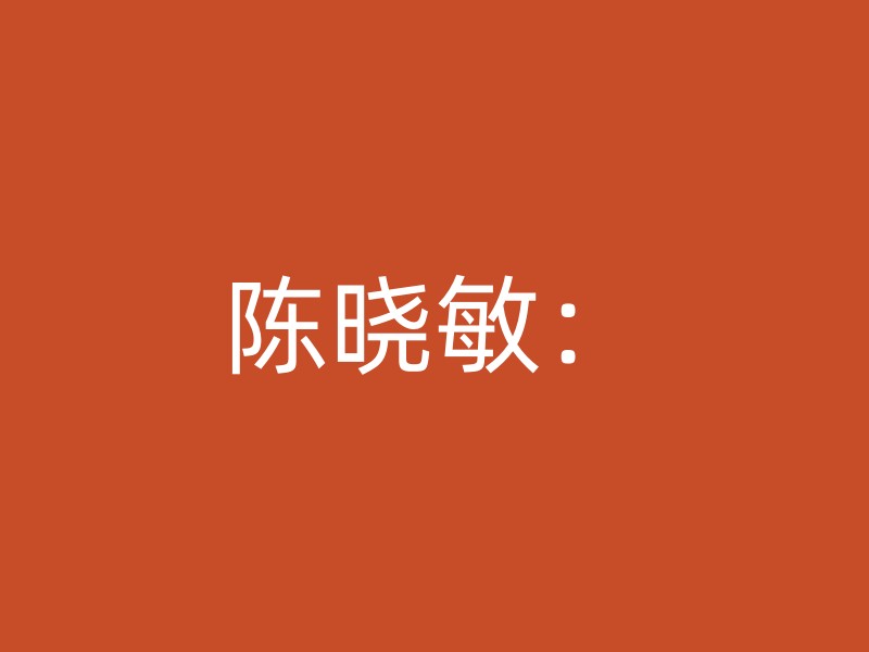 陈晓敏：