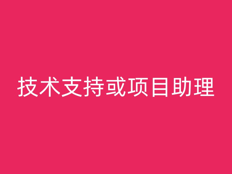 技术支持或项目助理