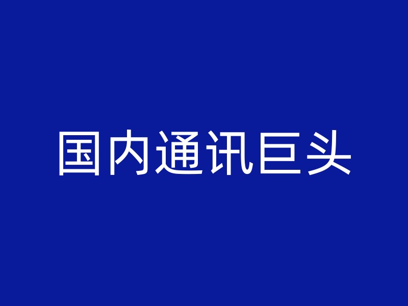 国内通讯巨头