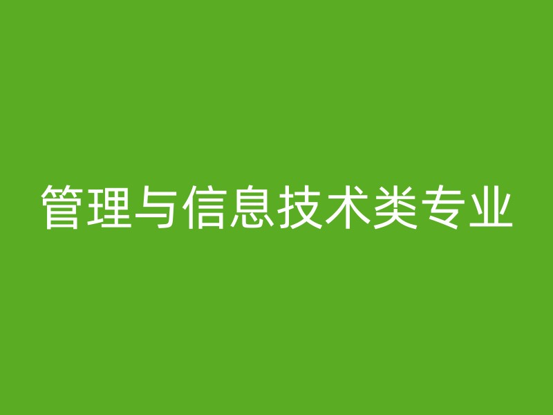 管理与信息技术类专业