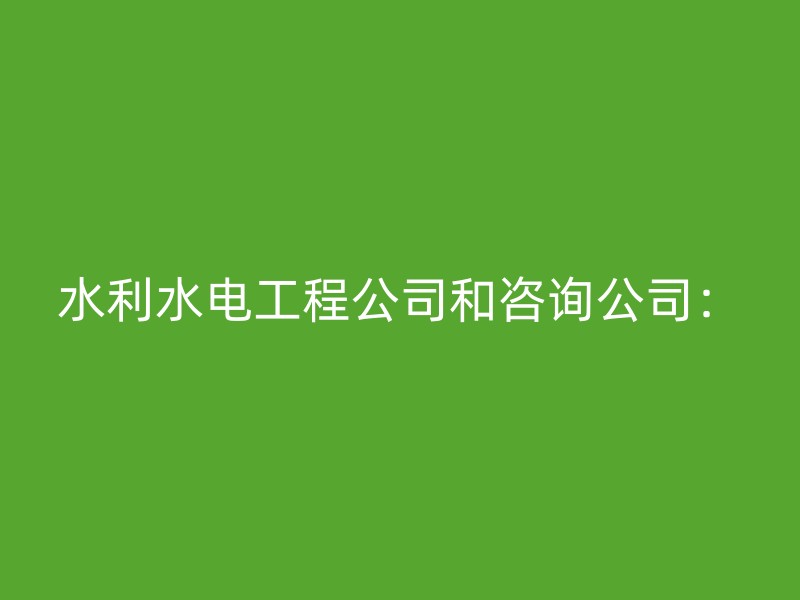 水利水电工程公司和咨询公司：