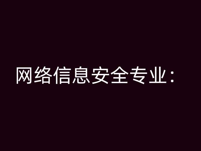 网络信息安全专业：