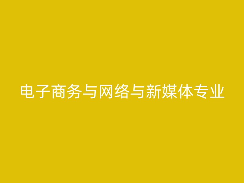 电子商务与网络与新媒体专业