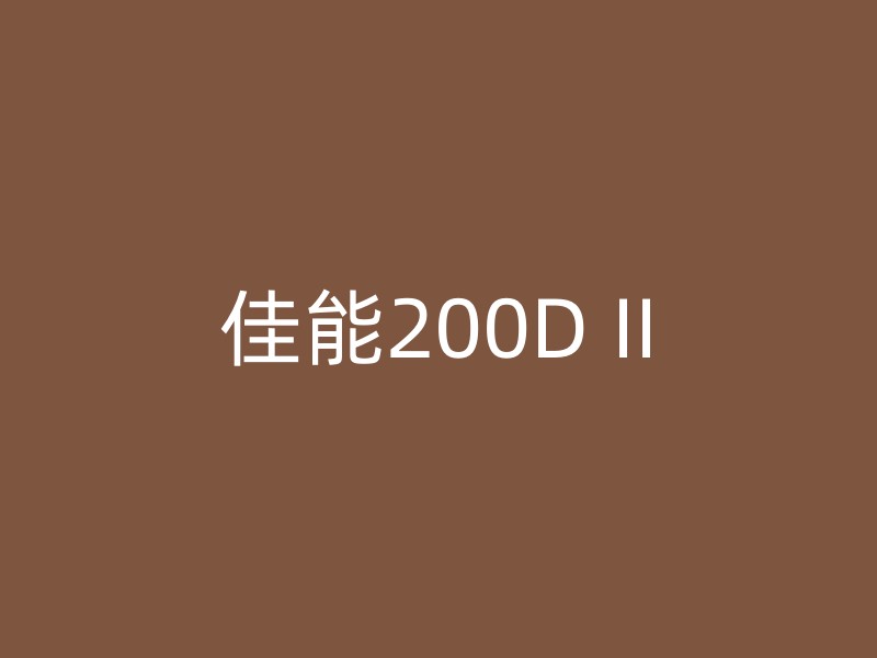 佳能200D II