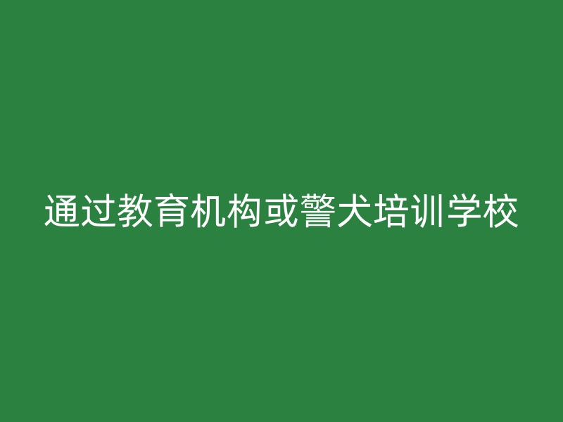 通过教育机构或警犬培训学校