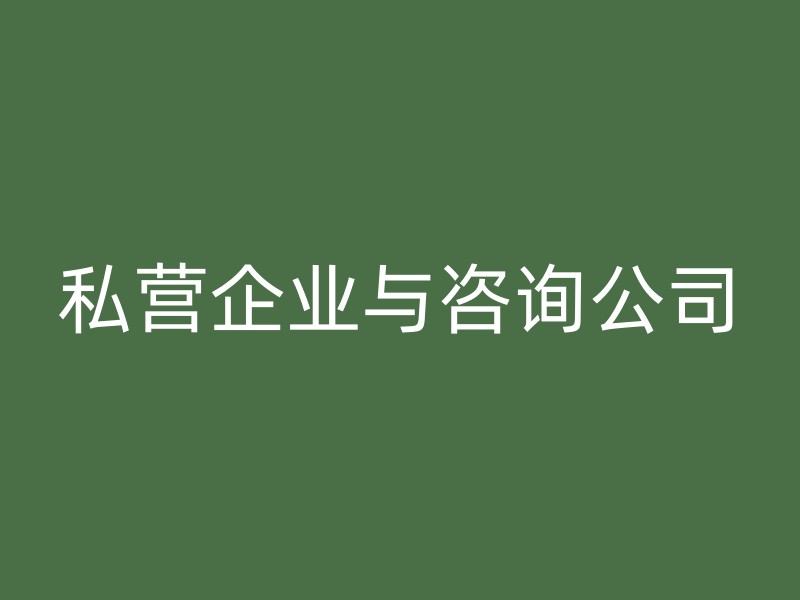 私营企业与咨询公司