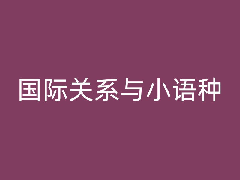 国际关系与小语种