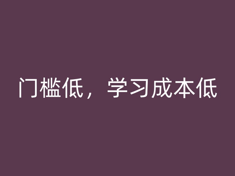 门槛低，学习成本低