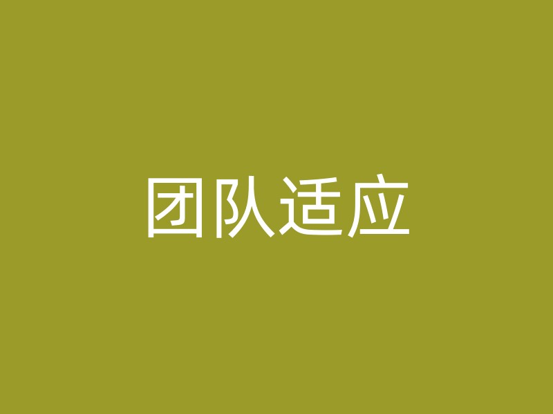 团队适应