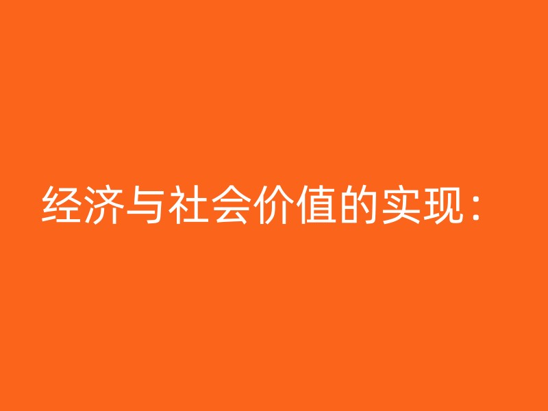 经济与社会价值的实现：