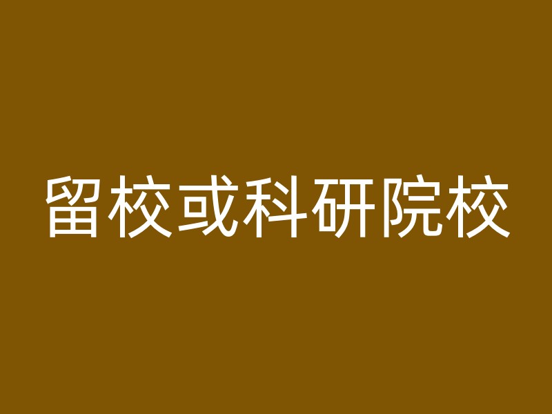 留校或科研院校