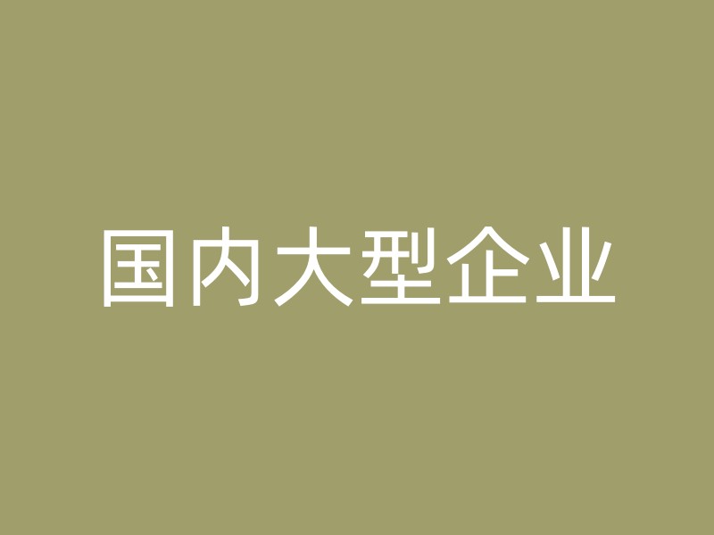 国内大型企业