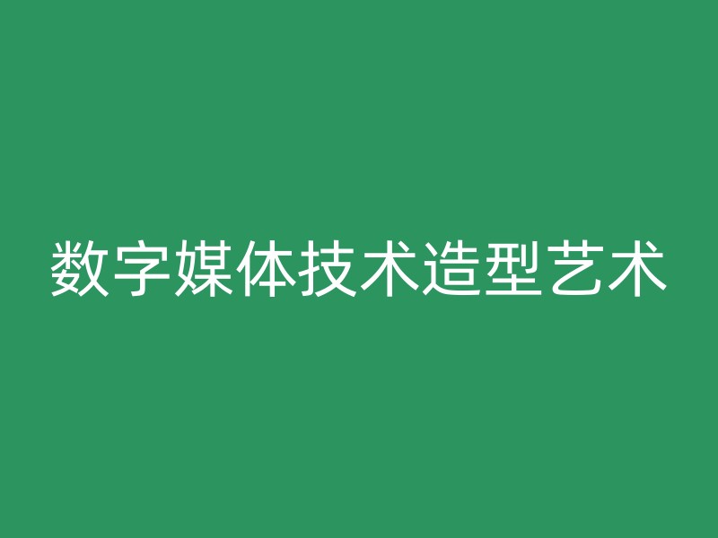 数字媒体技术造型艺术