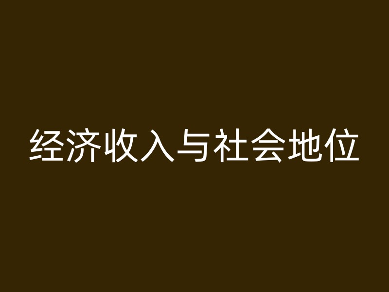 经济收入与社会地位