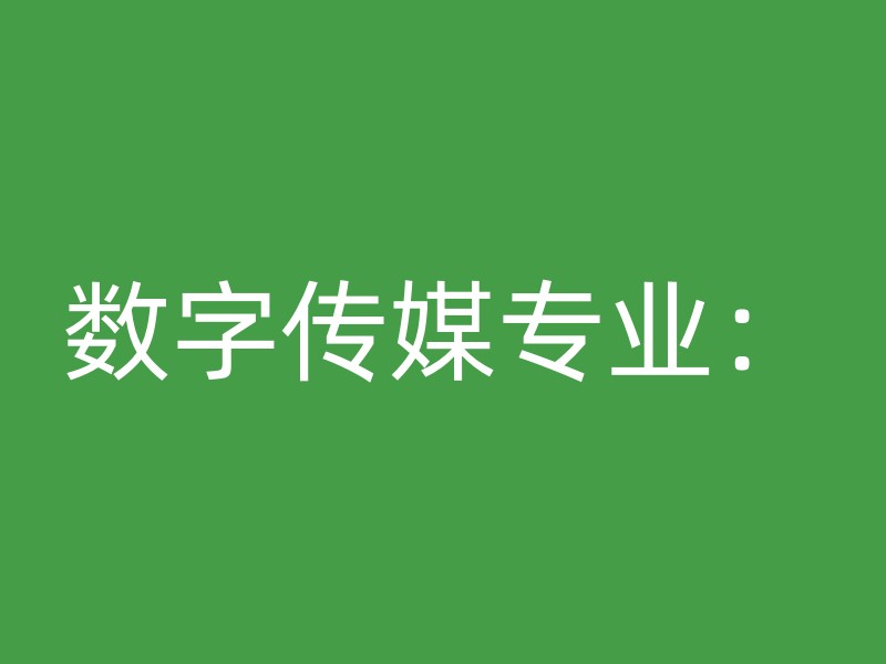 数字传媒专业：