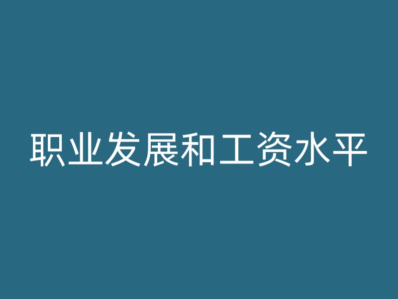 职业发展和工资水平