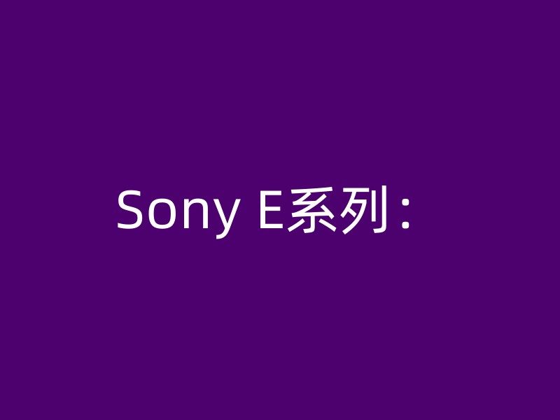 Sony E系列：