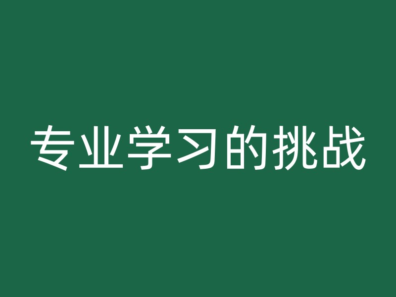 专业学习的挑战