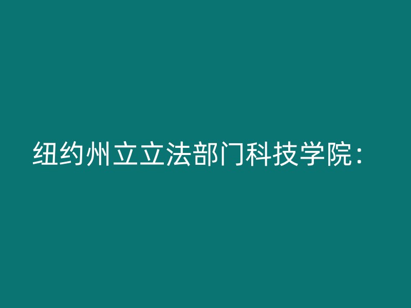 纽约州立立法部门科技学院：