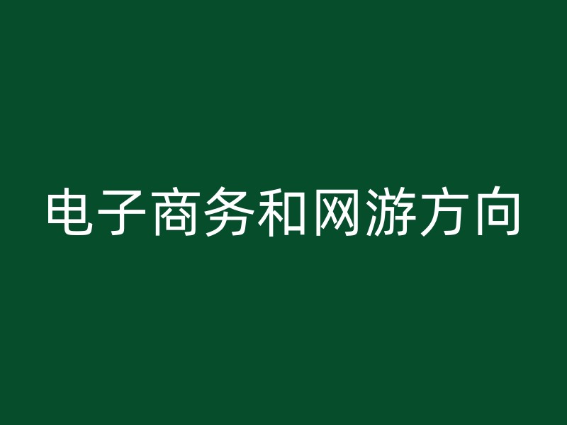 电子商务和网游方向