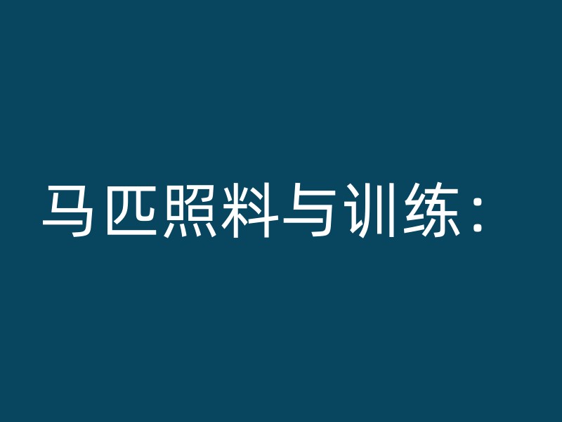 马匹照料与训练：