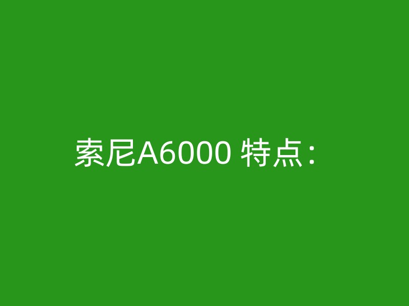 索尼A6000 特点：