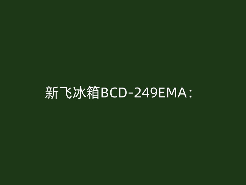 新飞冰箱BCD-249EMA：