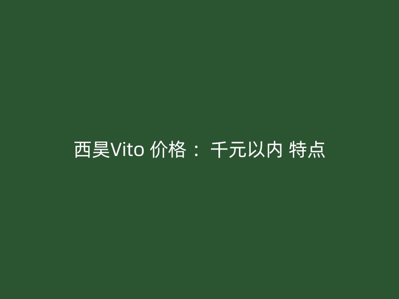 西昊Vito 价格 ：千元以内 特点