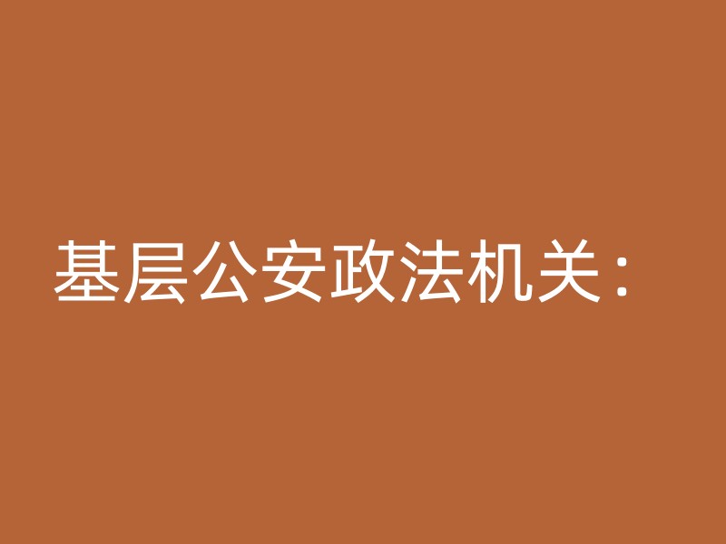 基层公安政法机关：