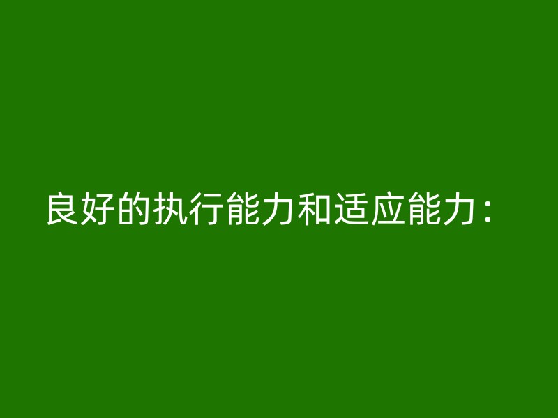 良好的执行能力和适应能力：