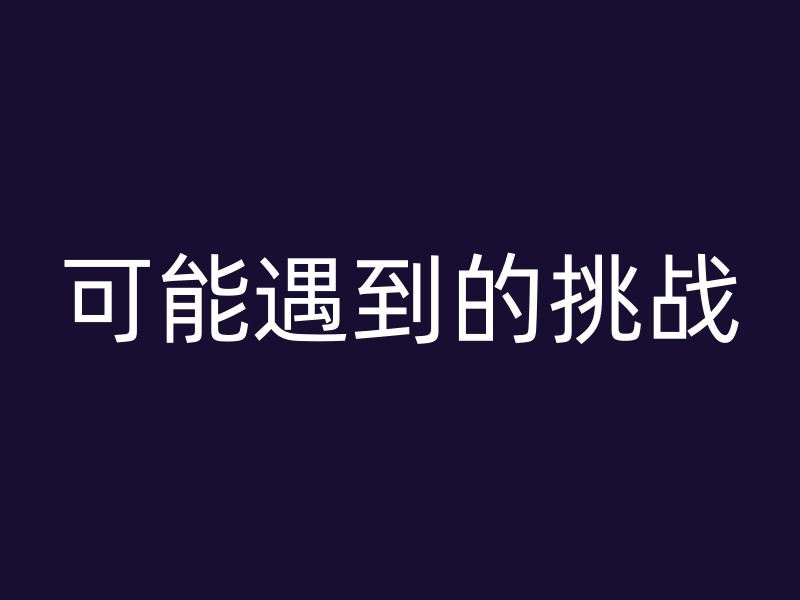 可能遇到的挑战