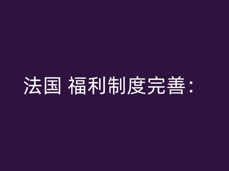 法国 福利制度完善：