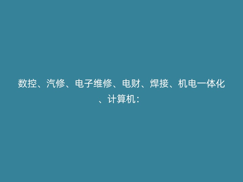 数控、汽修、电子维修、电财、焊接、机电一体化、计算机：