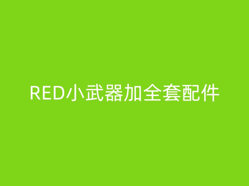 RED小武器加全套配件