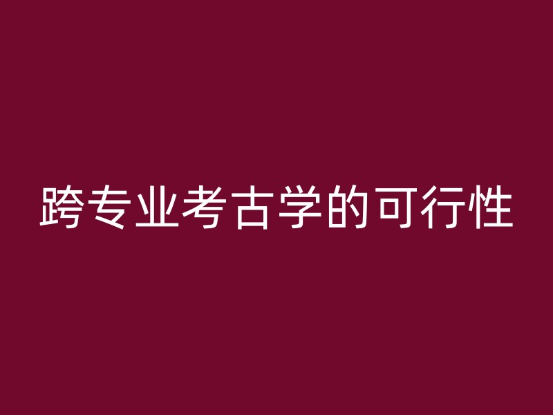 跨专业考古学的可行性