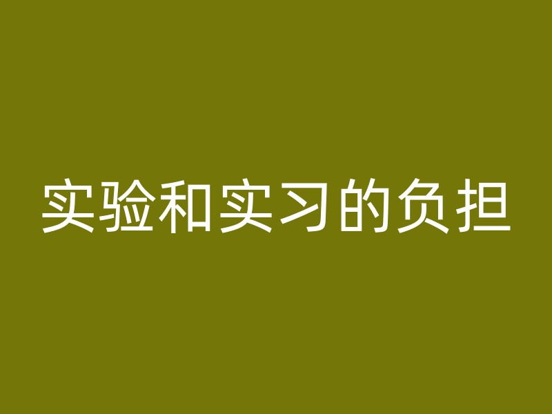 实验和实习的负担