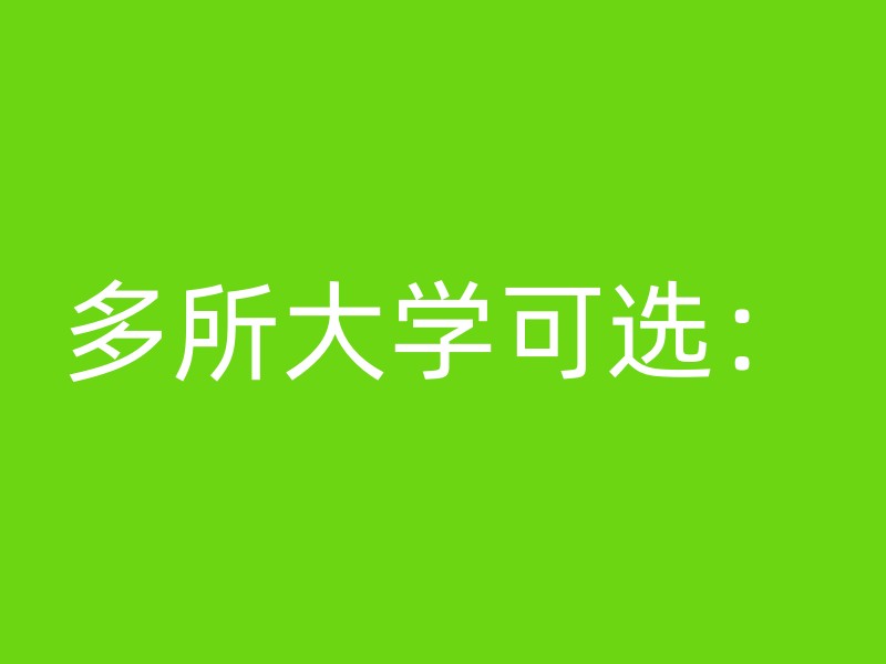 多所大学可选：