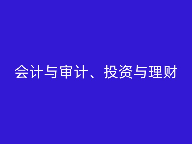 会计与审计、投资与理财