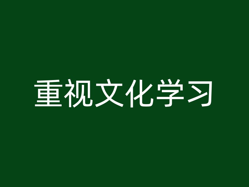 重视文化学习