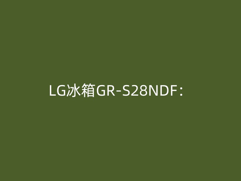 LG冰箱GR-S28NDF：