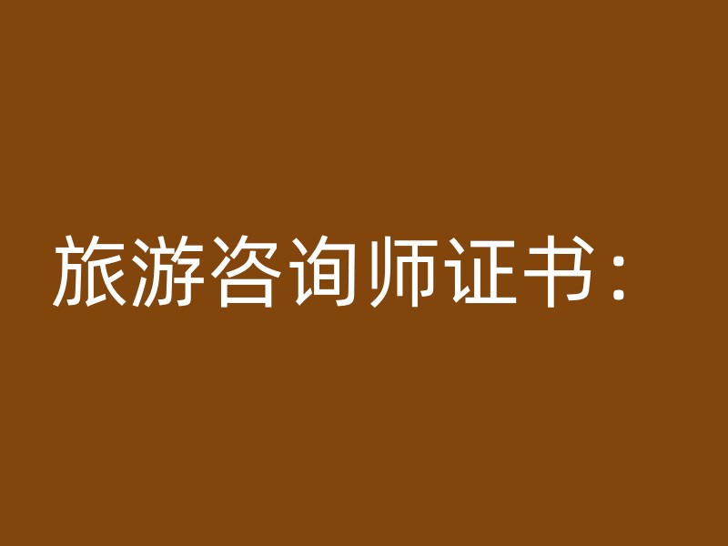 旅游咨询师证书：