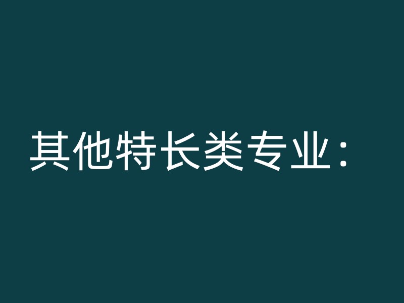 其他特长类专业：