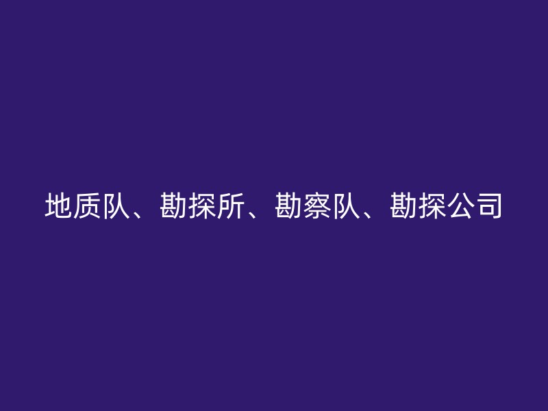 地质队、勘探所、勘察队、勘探公司