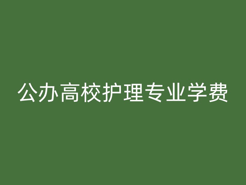 公办高校护理专业学费